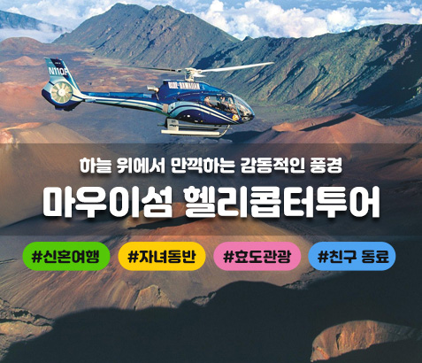 마우이 헬리콥터 투어