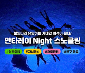 만타레이 Night 스노클링