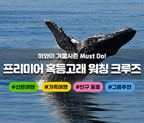 프리미어 혹등고래 워칭 크루즈
