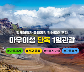 마우이섬 단독 1일관광