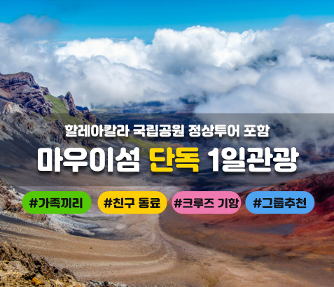 마우이섬 단독 1일관광