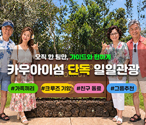 카우아이섬 단독가이드 1일관광