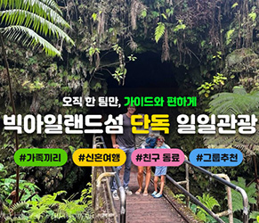 빅아일랜드섬 단독가이드 1일관광